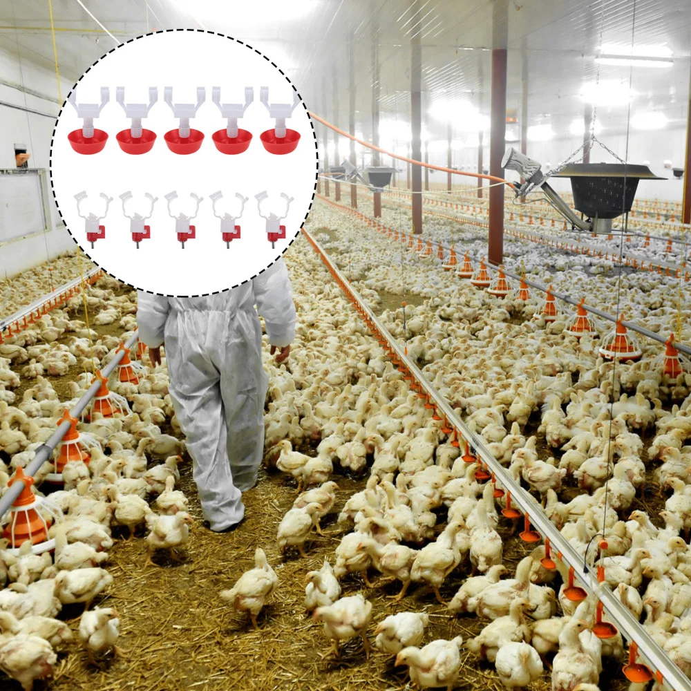 

5 Sets Automatic Poultry Chicken Water Dispensers Chicken Water Feeding Bowls