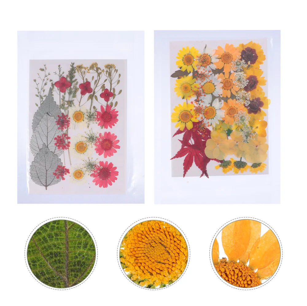 

2 Sets Practical Dried Flowers DIY Accessories for Makeup Decor