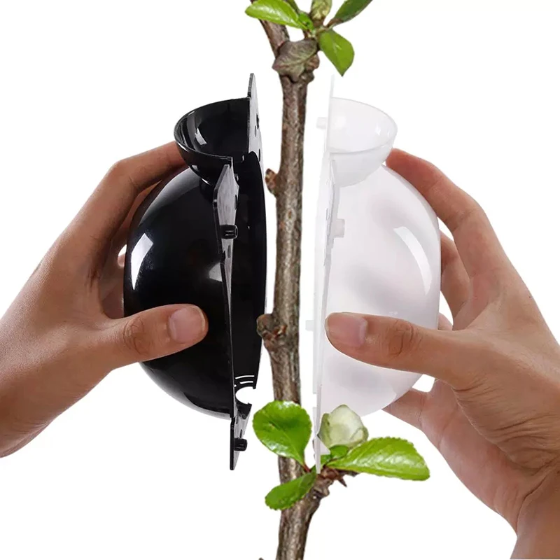 

Plant Root Gg Box High Pressure Gardening Plant Root Ball Breeding Case for Garden Grafting Rooting Plant Box