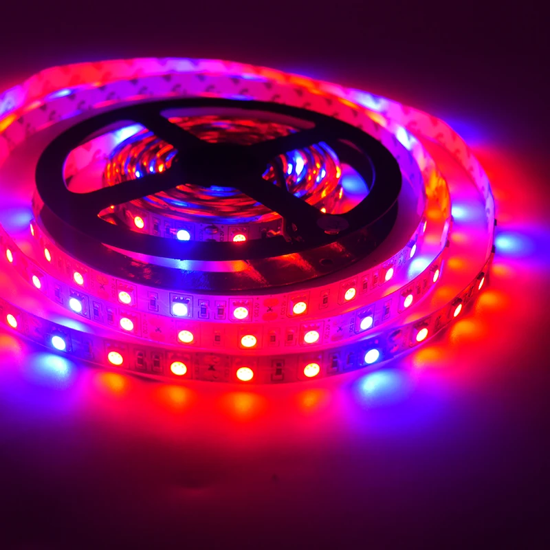 5M Phyto Lamps Full Spectrum LED Strip tape 12V 60LEDs/m 5050 Chip LED Fitolampy Grow Lights For Greenhouse Hydroponic plant Bar