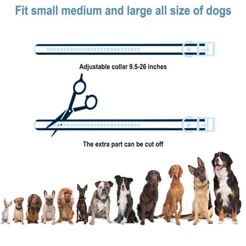 Тренировочный ошейник для собак T720 водонепроницаемый с дистанционным