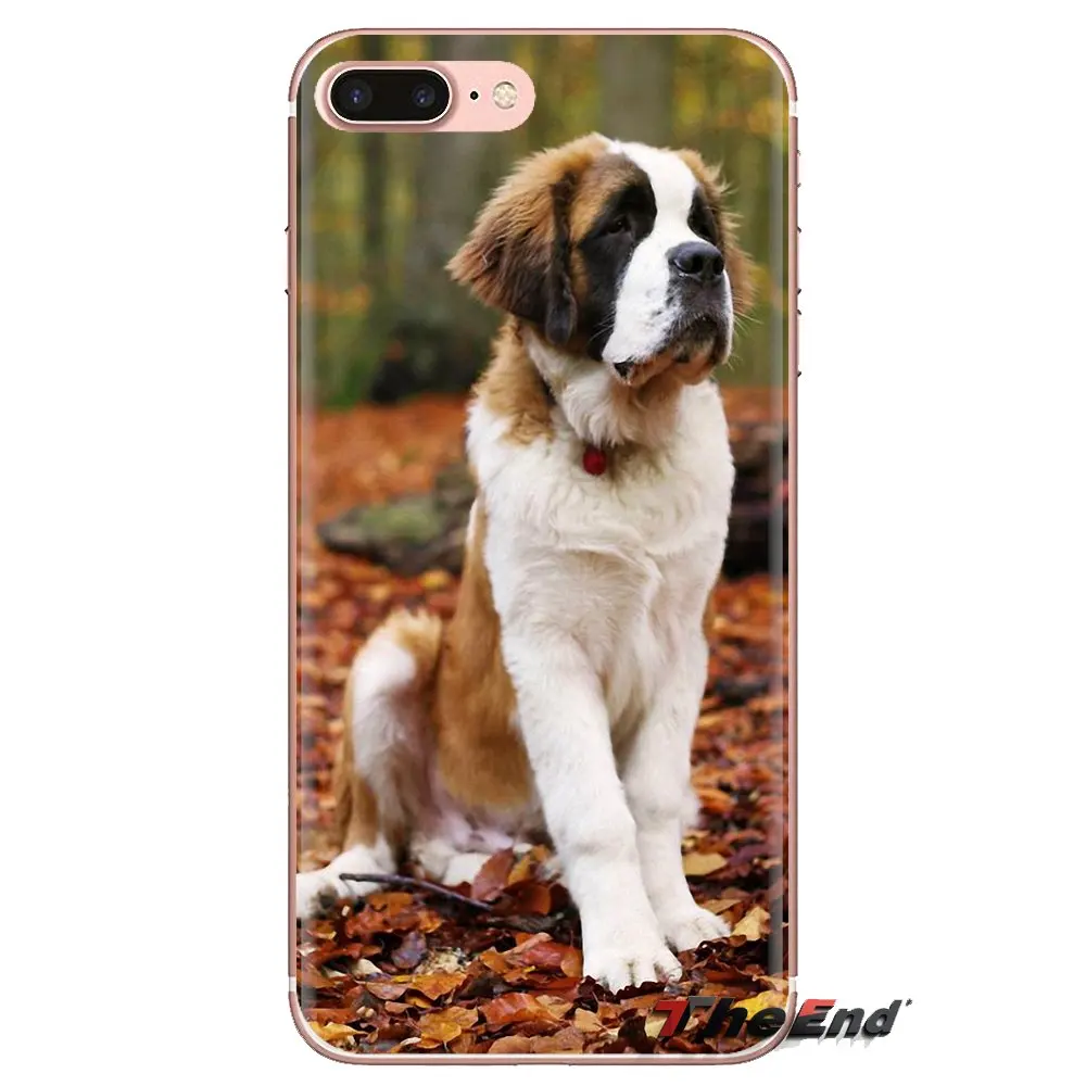Святой Бернард щенков и больших собак мобильного телефона чехол для Huawei G7 G8 P7 P8 P9