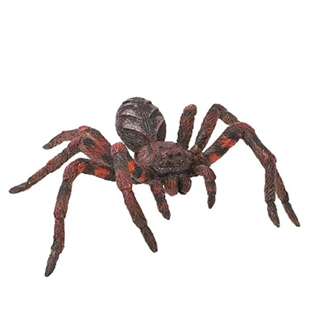 

Halloween Spider Realistic Decorative Party Spider Artificial Spider Funny ToJoke Toy For Bar Party Halloween Decorations