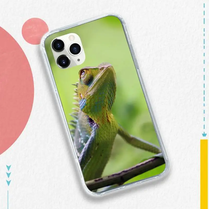 

Gecko Lizard Animals Phone Case Transparent soft For iphone 5 5s 5c se 6 6s 7 8 11 12 plus mini x xs xr pro max