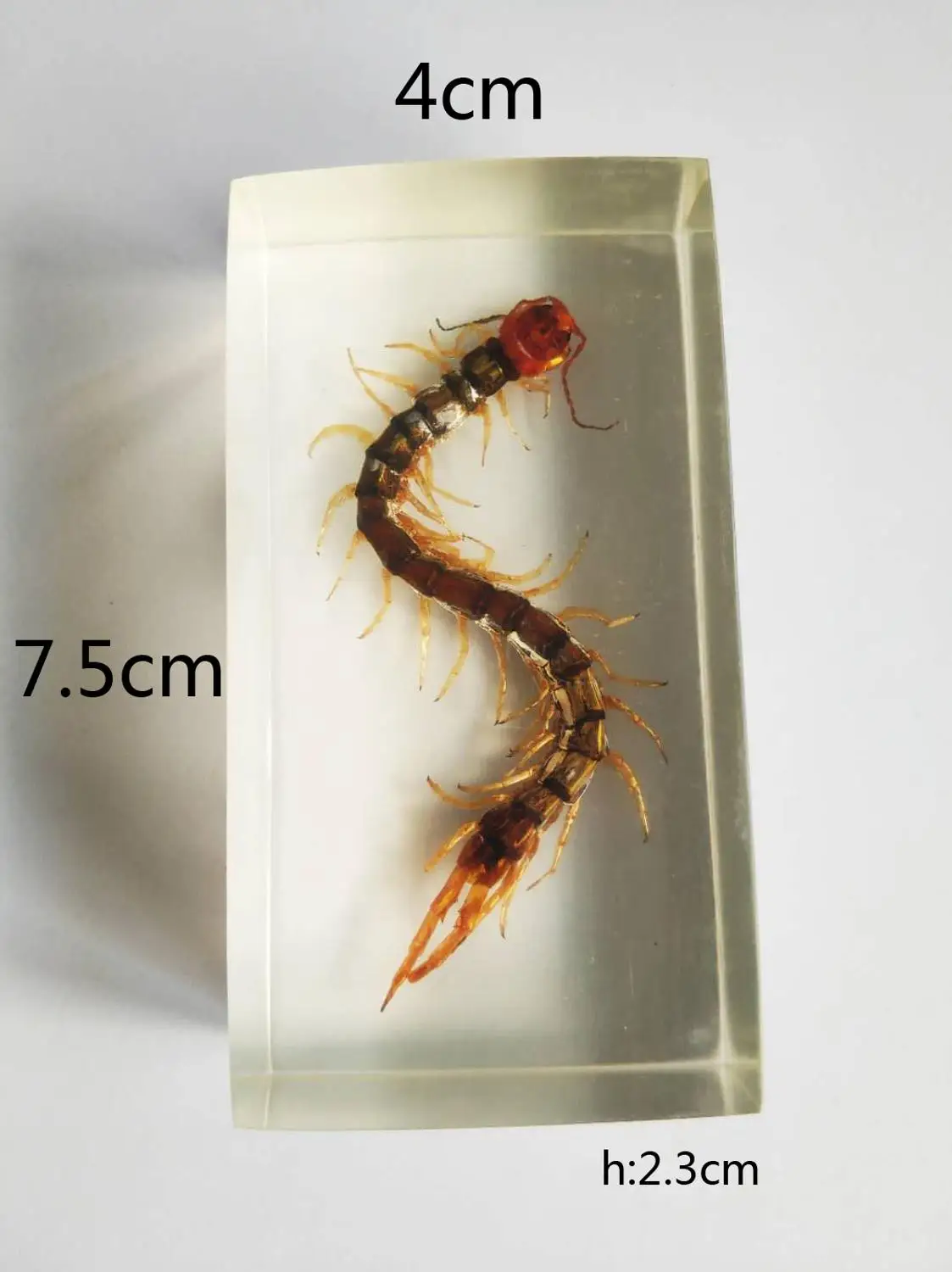 

Статуэтка насекомых из смолы