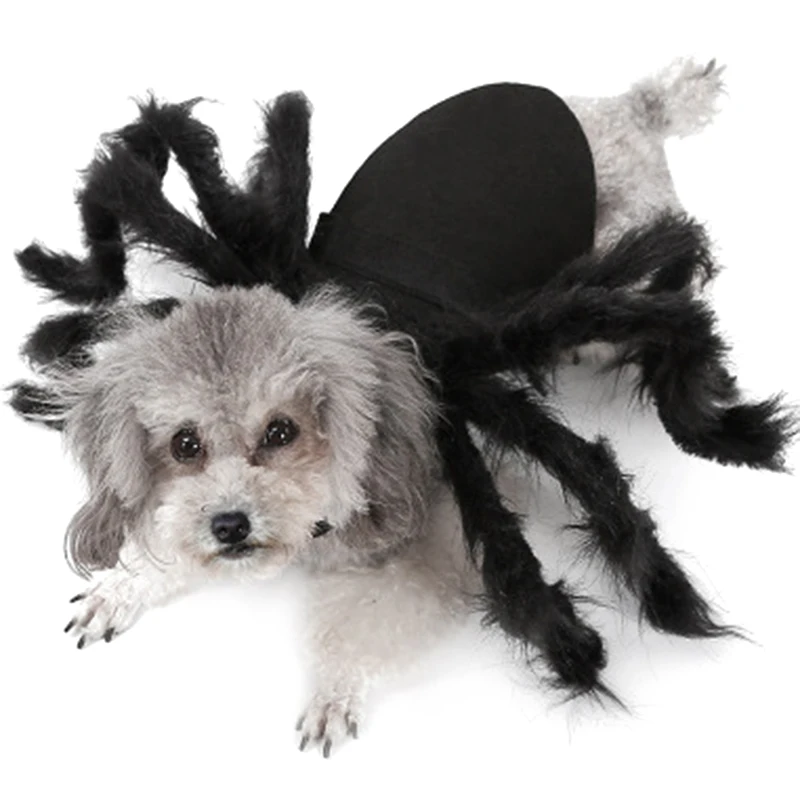 Платье для домашних животных с изображением паука одежда Хэллоуина костюм кошки