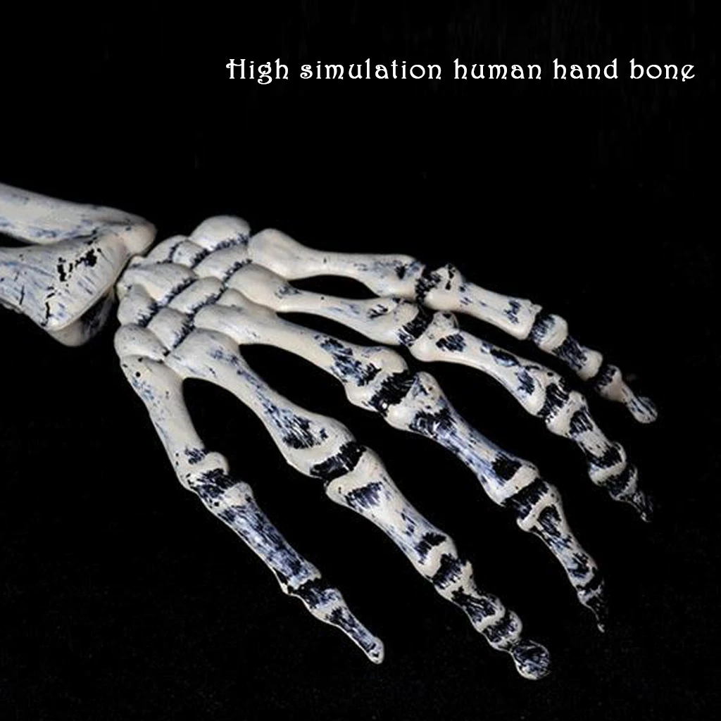 

Halloween Haunted Skull Haunted House Realistic Bones Head And Hands Set Graveyard Scene Cosplay Diy Horror Party Decorations