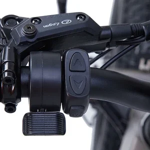 YUME 2020 48v500w 48V11.6ah Ebike складной электрический велосипед более 100 миль с подзарядкой и