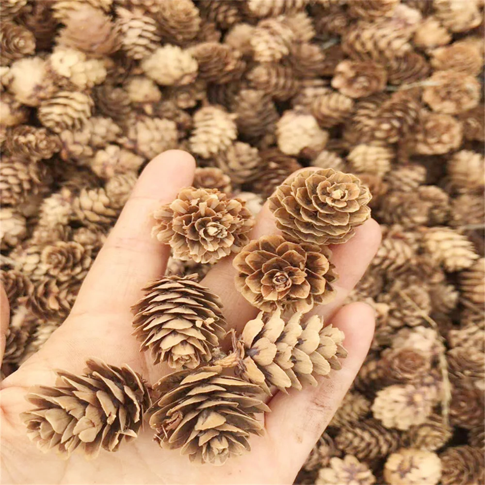 

20pcs Natural Pine Nuts Fruit Dried Artificial Flowers Pineapple Cones For Home Christmas DIY Garland Wreath Wedding Decoration