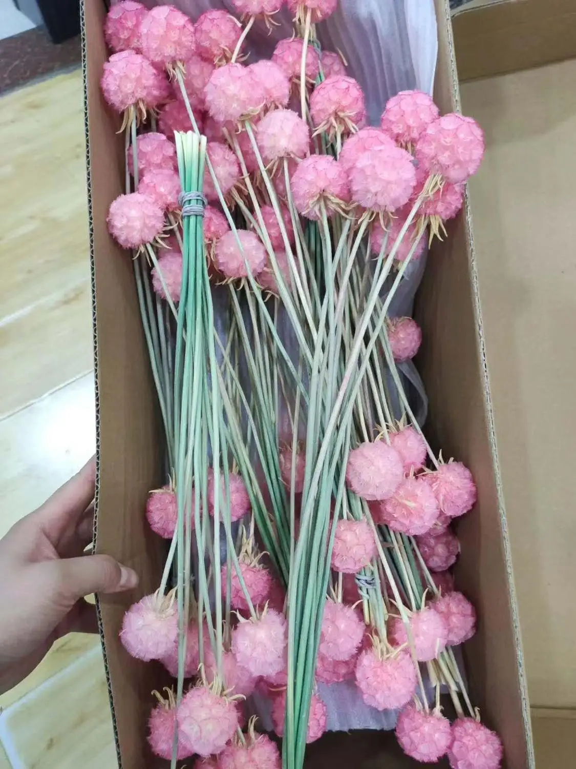 10 шт. конус сосны ветряная мельница для фруктов сохраненные цветы Рождественское