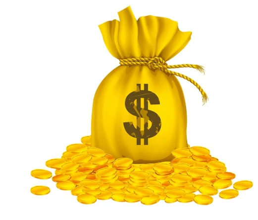 Футболка с нашивками для аксессуаров. Ссылка на бикини отличается пожалуйста не