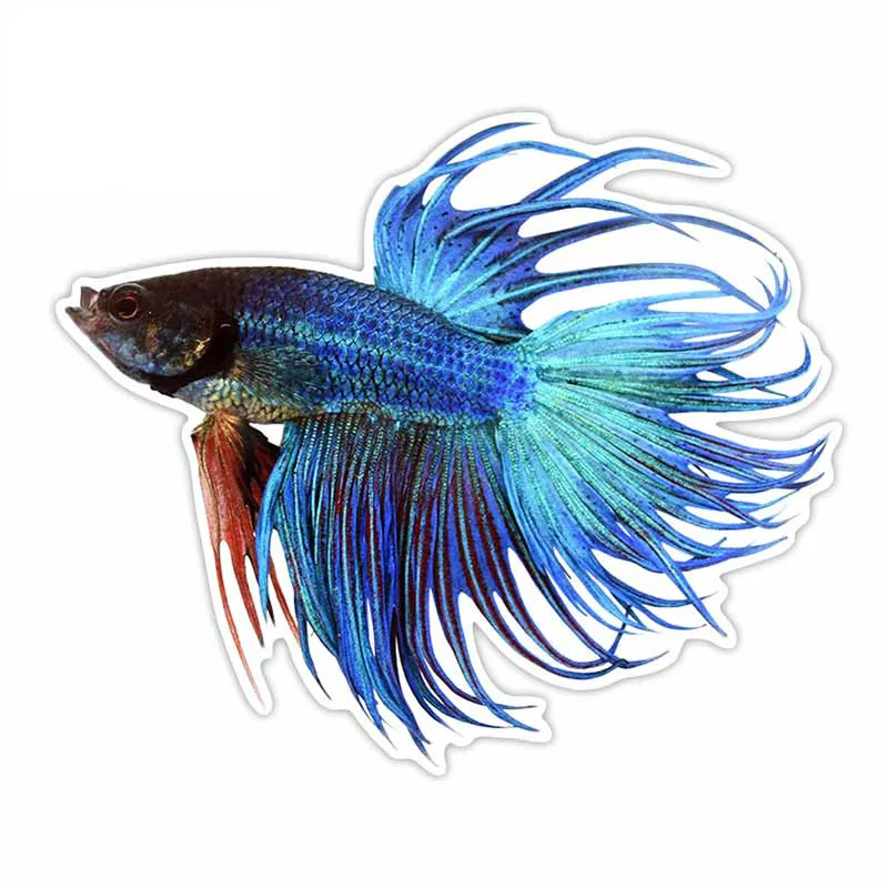 

Интересная Автомобильная наклейка, золотой Рыбка, автомобильные аксессуары, автомобильный Стайлинг, наклейка, виниловый автомобильный чех...