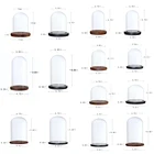 Стеклянный держатель для растений и цветов для украшения дома, сада, офиса