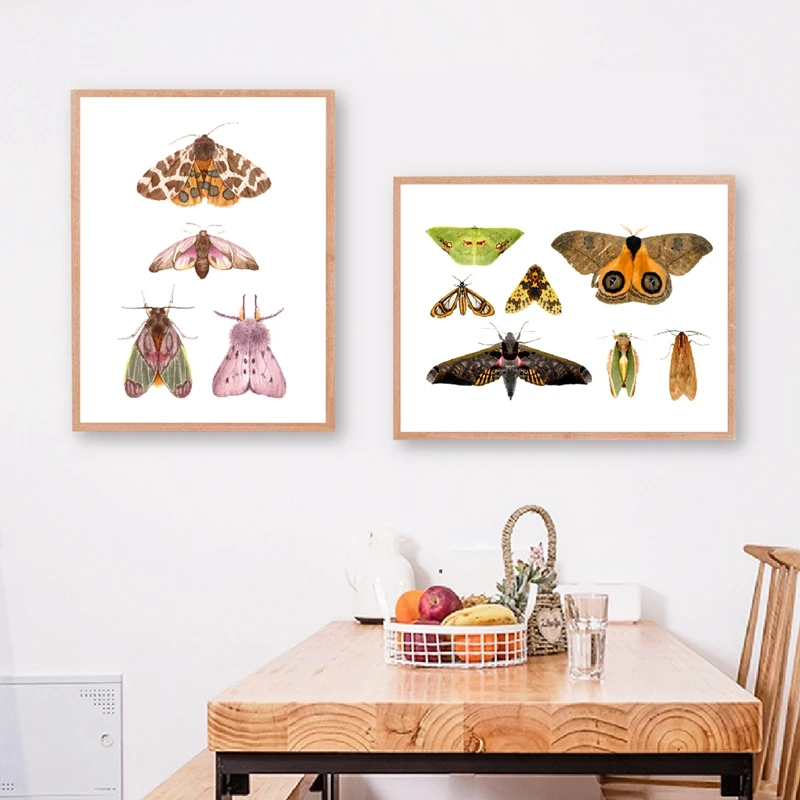Иллюстрации НАСЕКОМЫХ ПЕЧАТЬ ручная роспись плакаты образовательное настенное