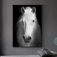 wild animals white horse black background canvas posters and prints decor art canvas paintings wall art pictures for home decor