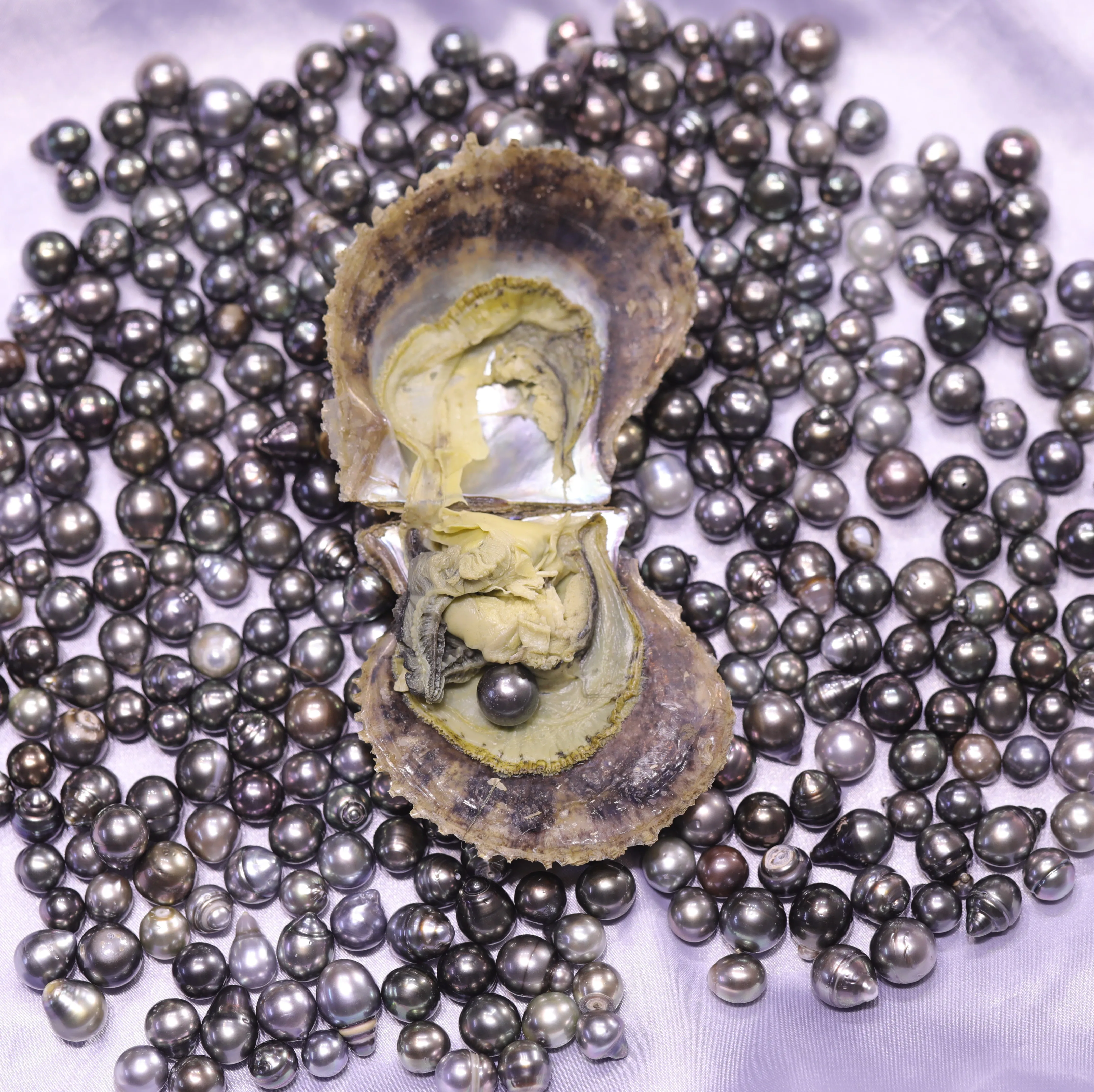 Таитянский соленый жемчуг 10-12 мм одинарный Устрица акойя таитянский барокко в