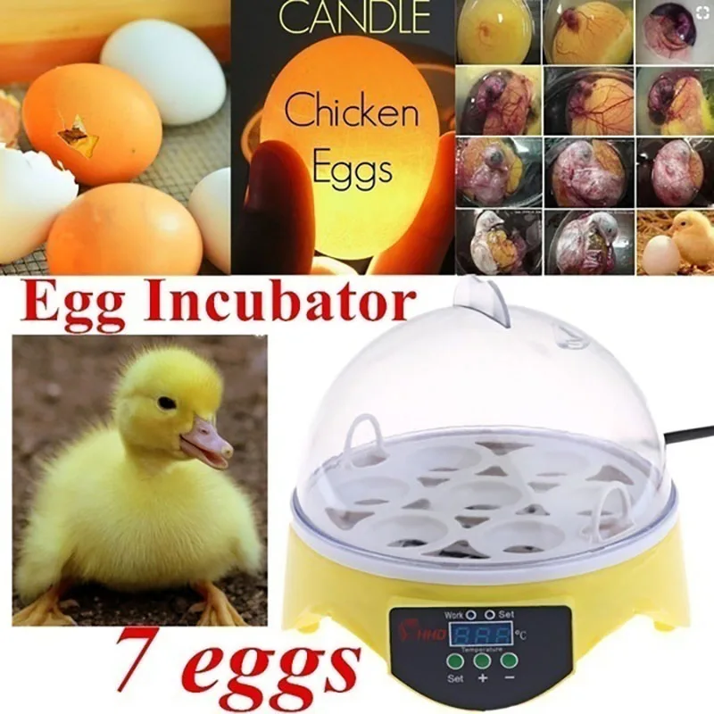 

Best 220V 110V Poultry Hatchery Machine Hatching 7 Mini Brooder Small Chicken Bird Egg Hatchers Incubator for Quail Parrot Duck