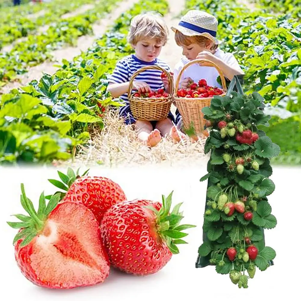 

PE Planting Bag Hanging Breathable Fabric Plant Pots with Handles Strawberry Seeds Growing Hanging Vegetables Planting Grow Bags