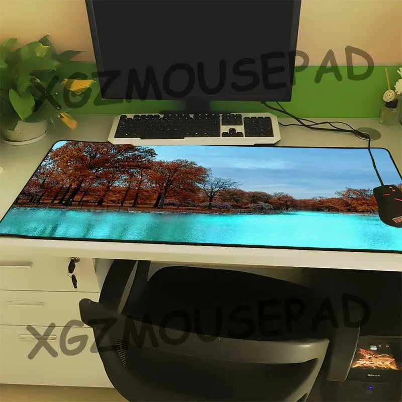 XGZ пейзаж Экстра большой размер Diy пользовательский коврик для мыши черный