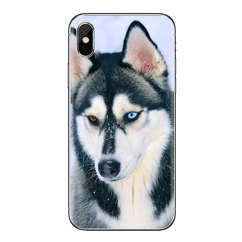 С изображением щенков Сибирского Хаски узор прозрачный мешок TPU чехол для Xiaomi Redmi