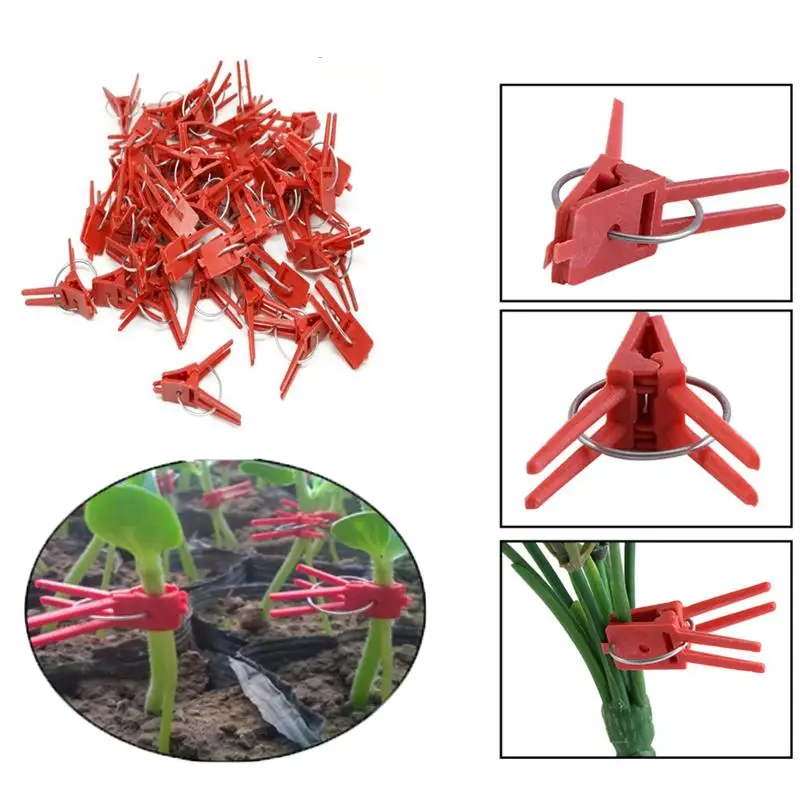 

50/100pcs Quality Plants Graft Clips Plastic fixing fastening Fixture clamp Garden Tools for Cucumber Eggplant Watermelon