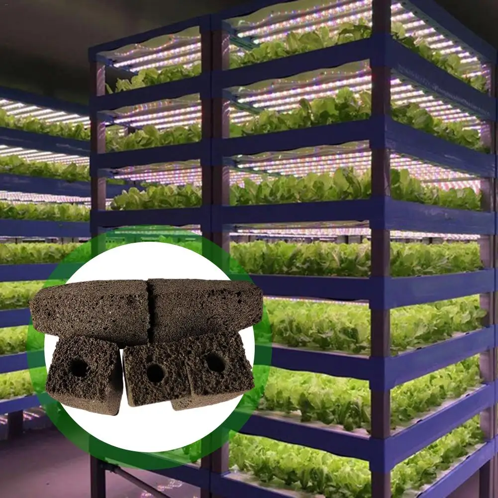20 шт./компл. детский блок гидропонный для выращивания саженцев без земли|Детские