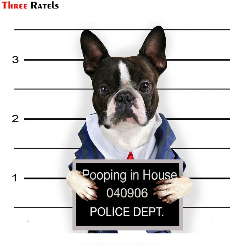 

Three Ratels FTC-882 Cute Guilty Of Love French Bull Boston Terrier Dog Wall Sticker Decal Guitar Laptop Kitchen Decoration