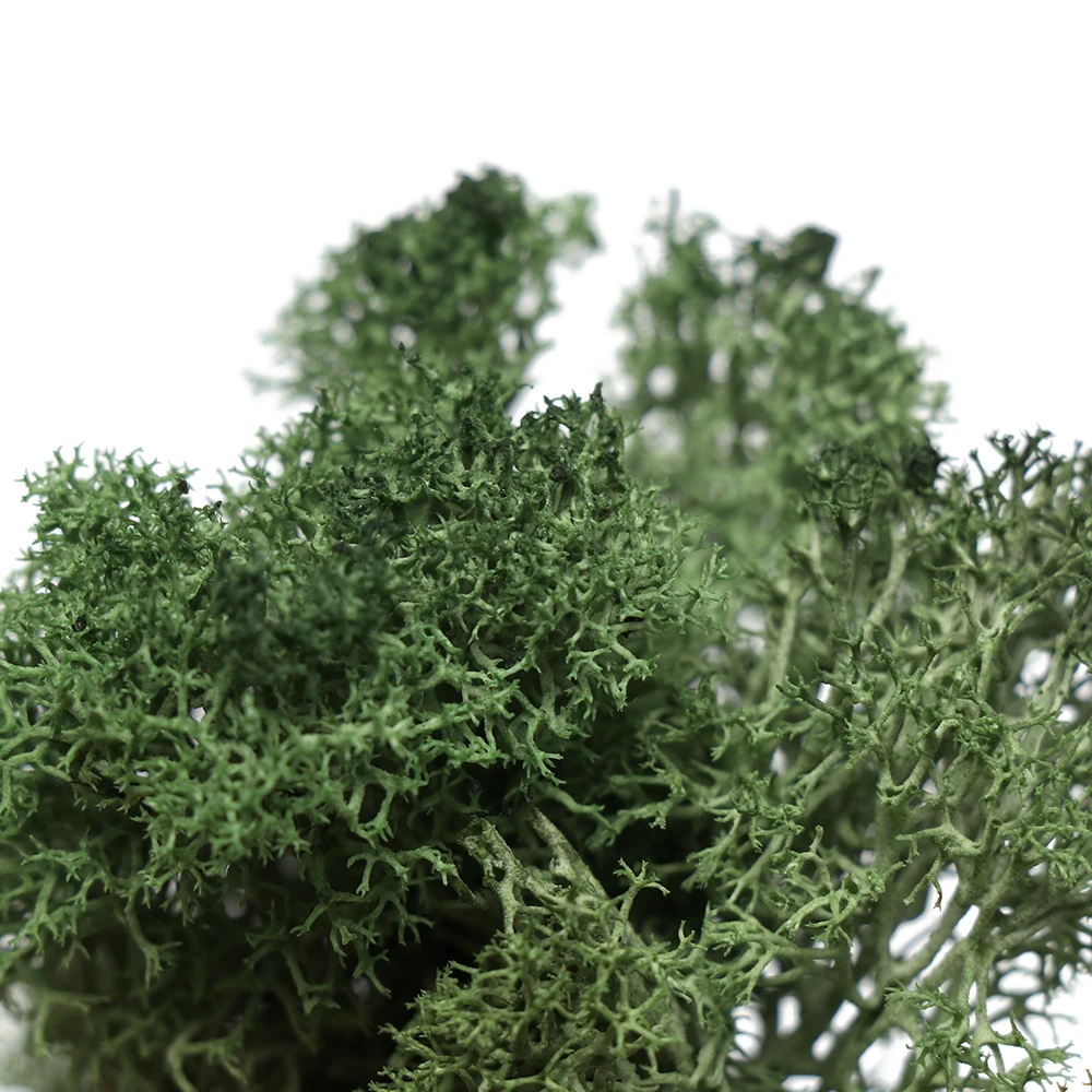 Микро пейзаж натуральный Норский олень мох сохраненный сушеный цветок ремесла