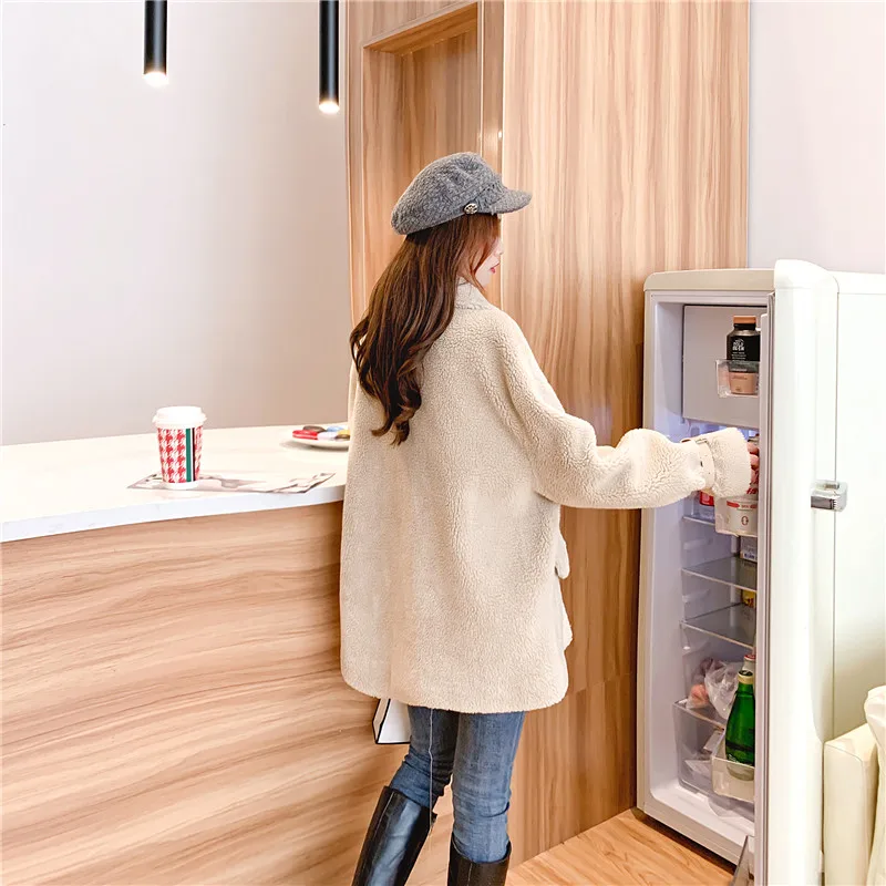 

Warm Winter Faux Fur Coat Women Fashion Shaggy Causal Overcoat Warm Plush Zipper Jacket Female Casual Autumn Loose Coat