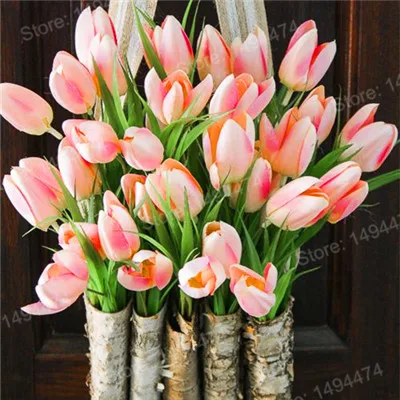Черный 100pcs Tulip flores White Blue Purple mixed color Flower plantas bonsai flower plante colorful plants for home garden - Цвет: Черный
