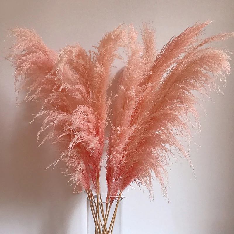 1 шт. розовый тростник труба Сушеный Цветок шипы сушеные цветы Роскошный домашний