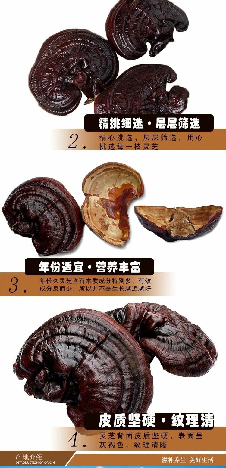 500 г/1000 г натуральный высококачественный Ganoderma lucidum Ganoderma