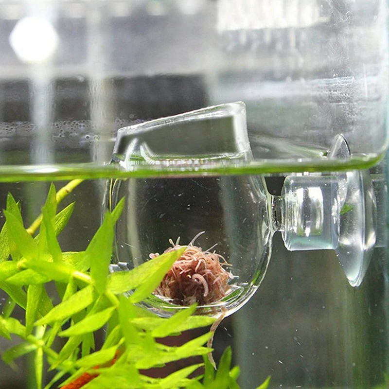 

Aquarium Fish Tank Aquatic Feeder Fish Tank Supplies Glass Pot Plant Feed Cup Holder Shrimp Fish Clear Dish Tray For Aquarium