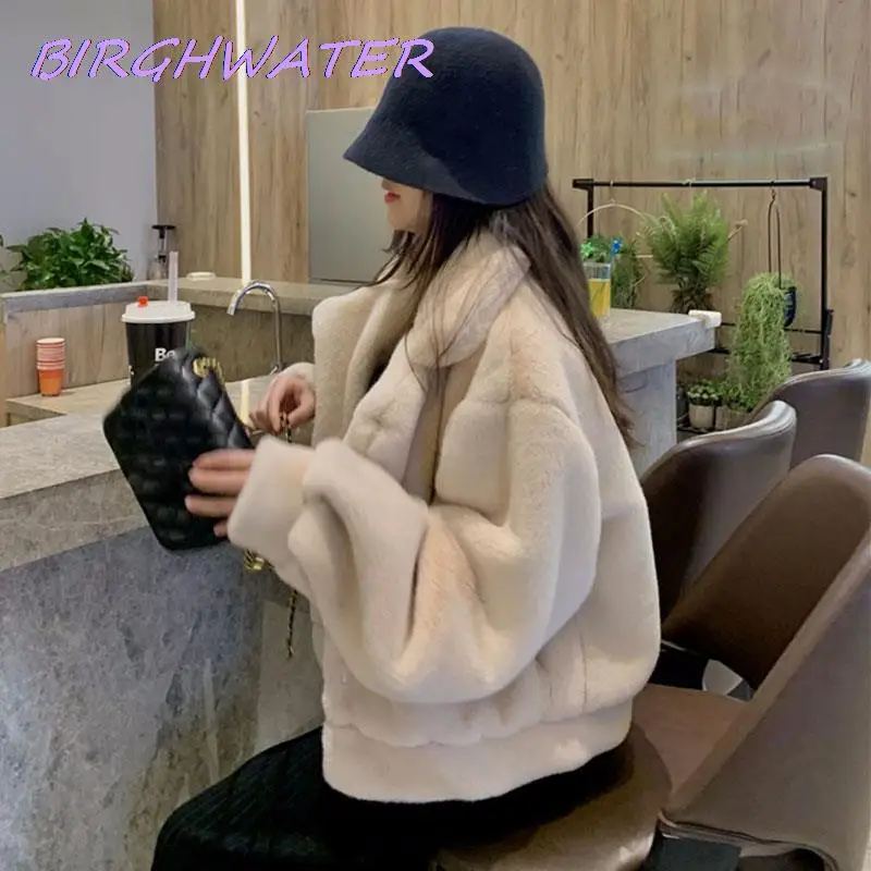 Korean Mink Fur Coats Womens Fashion Casual Solid Turndown Collar Short Faux Fur Jackets Winter Loose Warm Coat Female