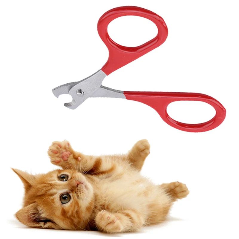 

Cat Nails Scissors Pet Cat Claw Care Tools Pet Supplies Accessories Pet Tools