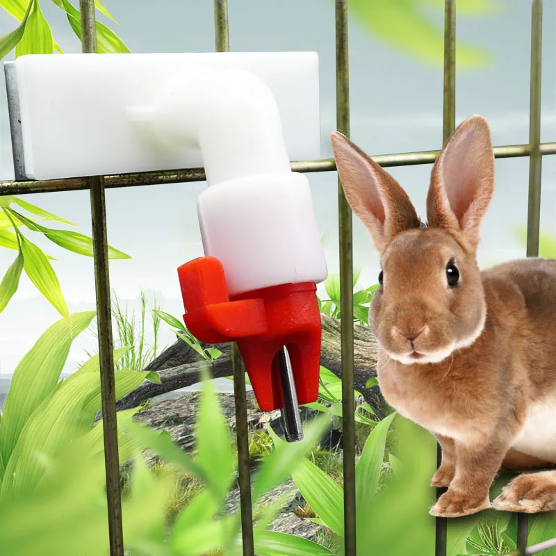 Автоматическая поилка для кролика стальной кран с шаровым клапаном 10