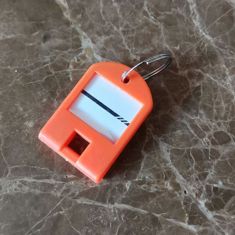 

8Pcs Multicolored Plastic Key Tags with Split Ring Label Window ID Name Identifiers for Luggage Bag Pet Name Memory Stick