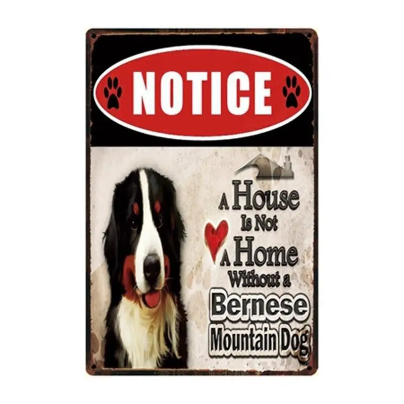 Жестяной металлический плакат с изображением собаки чихуахуа Чарли 20 х30 см | Дом