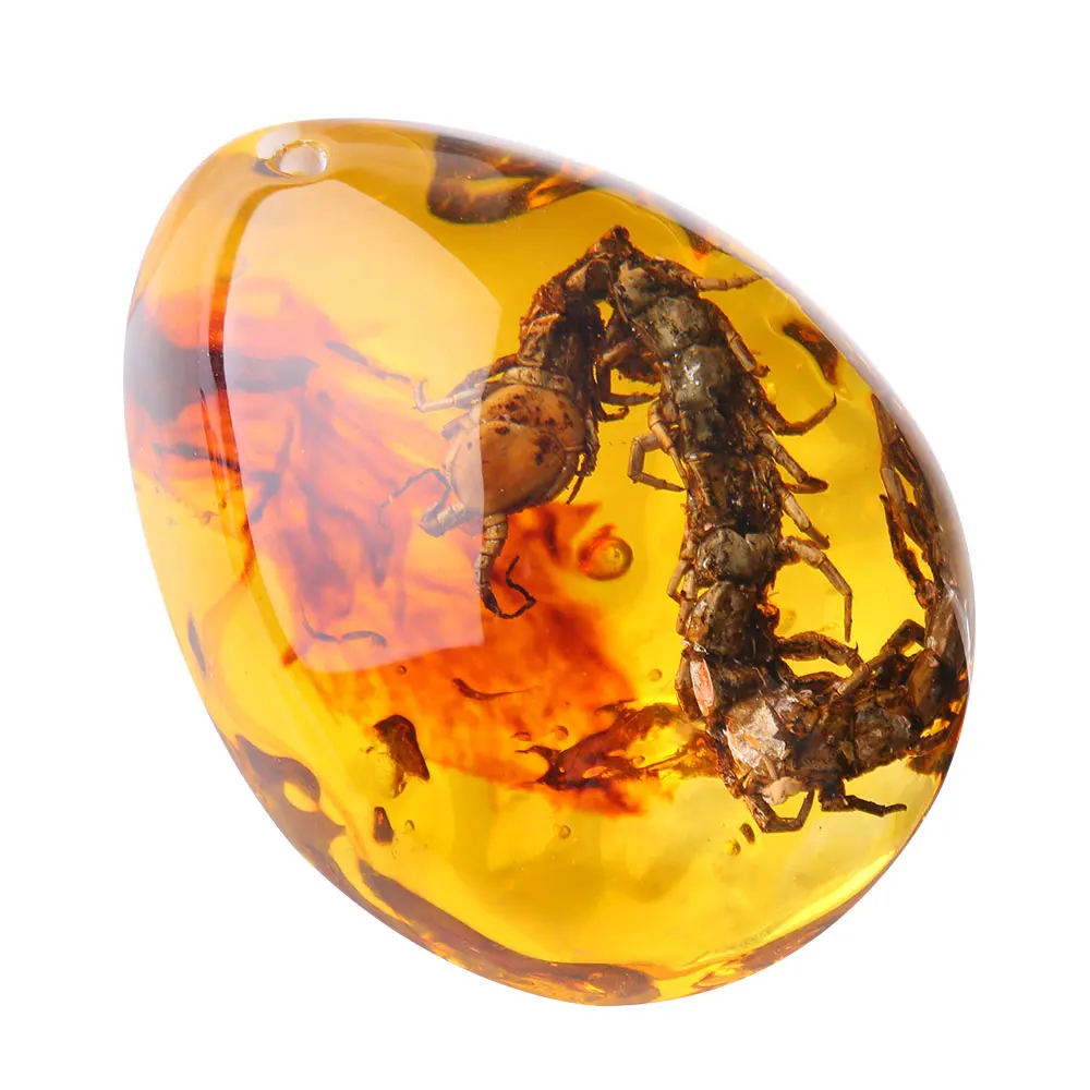 

Fashion Natural Insects Amber Gemstone Ornament Originality Scorpions butterfly Bee Crab Decorations DIY Crafts Gift