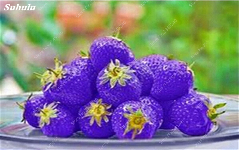 1000 шт./пакет супер гигантская клубника Декор искусственные цветочные горшки |