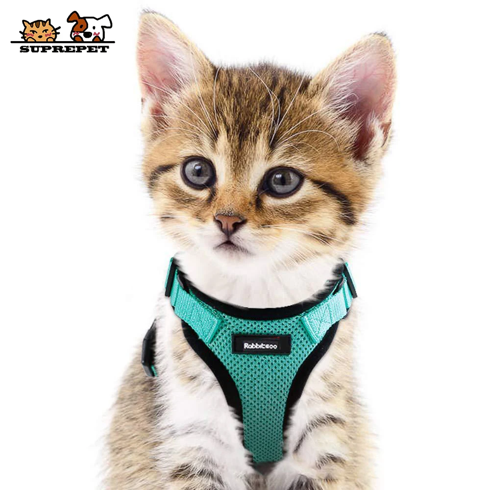 

SUPREPET Pet Cat Collar Fashion Soft Harness and Leash Kitten Reflective Walking Collars Set Escape Proof Mesh Vest Fancy Tie