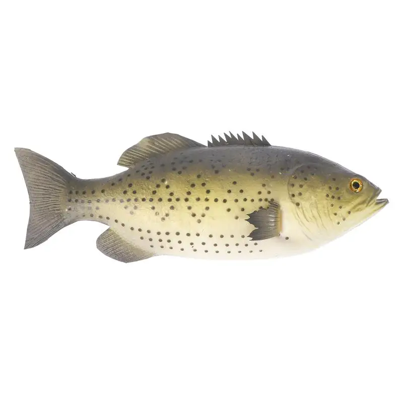 

1pc Home Fish Decor Simulation Fish Lifelike Fish Decor Fish Plaything