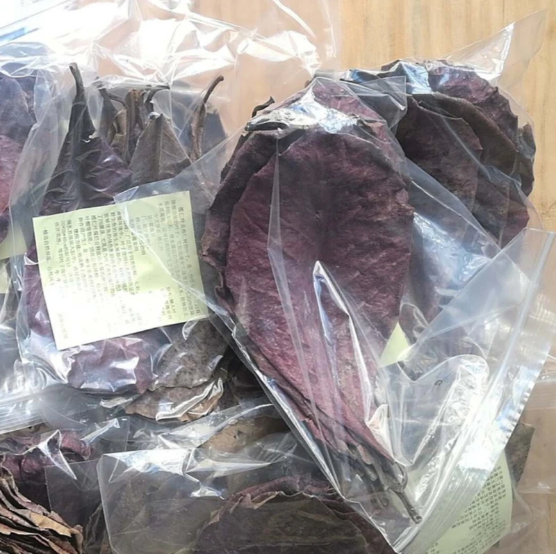 20 шт. натуральные листья Terminalia Catappa индийский остров миндаль Бетта для очистки