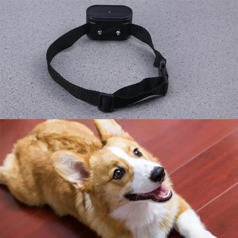 

Underground Electric Dog Fence System Waterproof Shock Collars For 1-3Dogs with US-plug