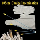 Комплект Canine для осеменения собак и спермы, комплект из 10 предметов, для сбора спермы, трубчатые перчатки для осеменения, одноразовый катетер