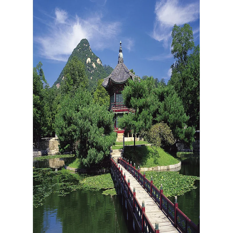 

Natural Scenery Photography Background Spring Landscape Travel Photo Backdrops Studio Props 2021115CA-03