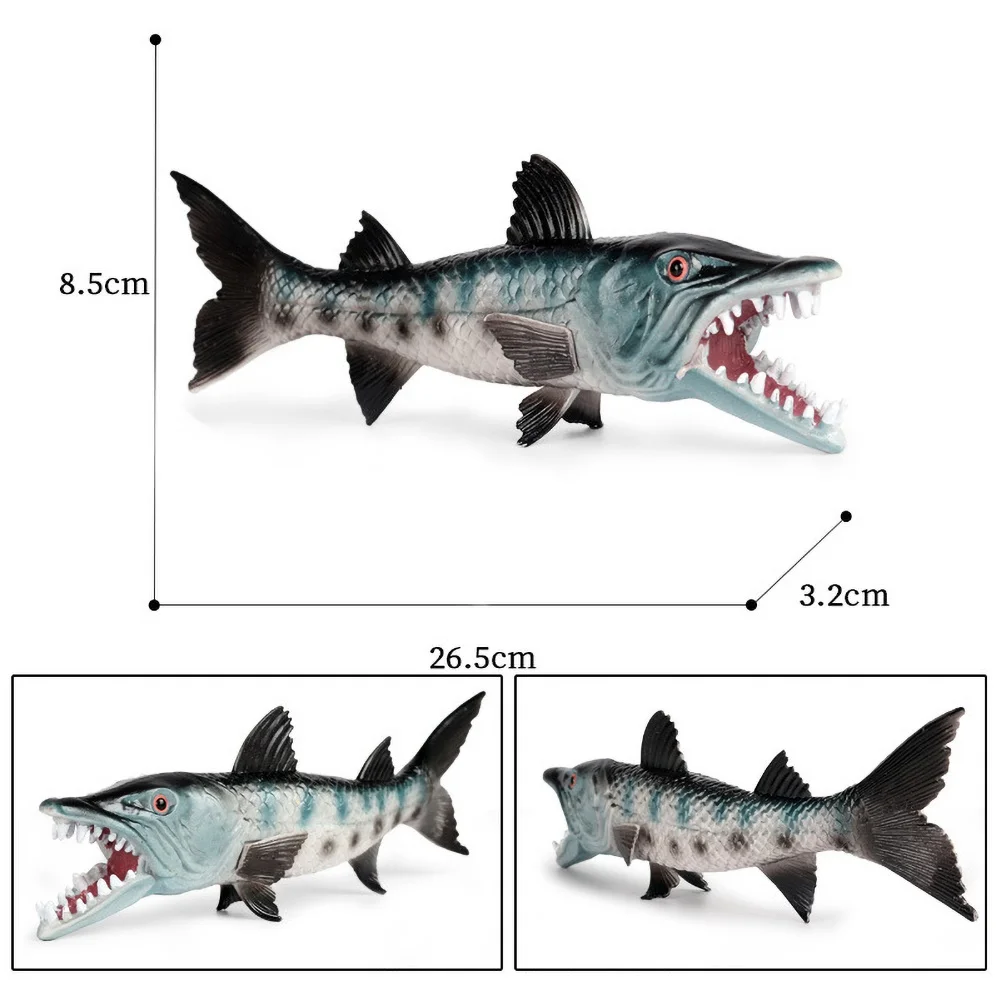 

Learning & Education