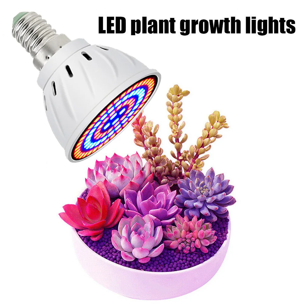 

Grow Light Bulb 60 LEDs E14 Plant Growth Full Spectrum Plant Horticultural Lamp 220V Indoor for Indoor Plants Succulents Garden