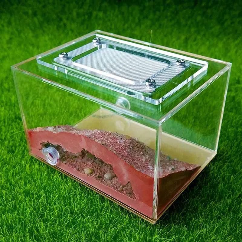 DIY Мини имитация экологической штукатурки гнездо ПЭТ муравей ферма мастерская