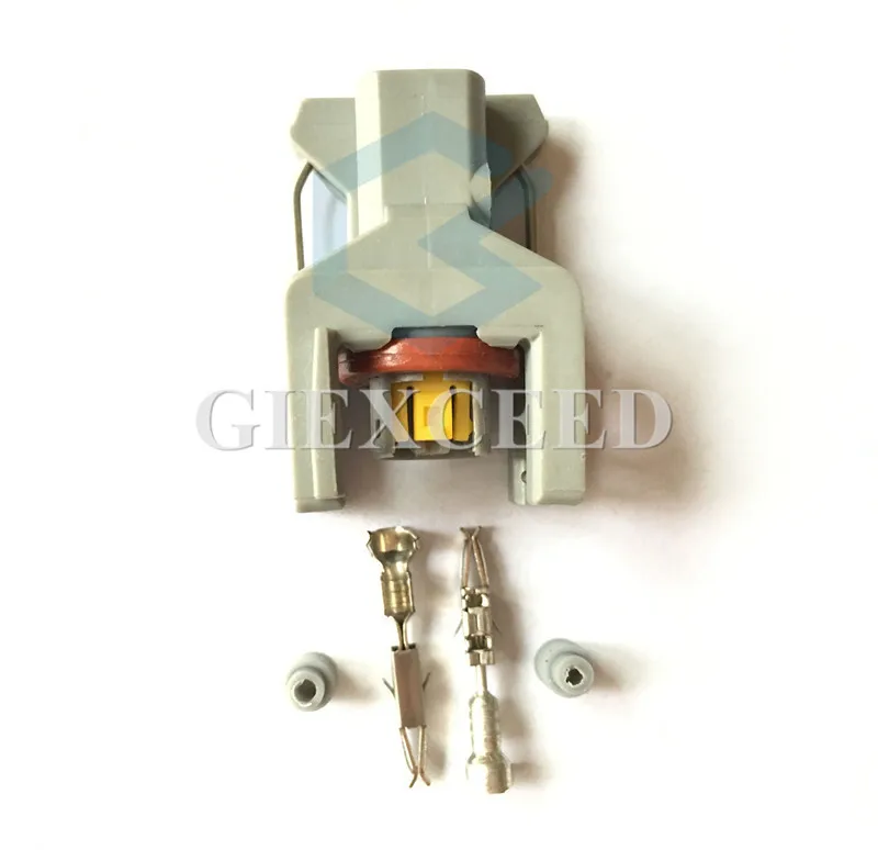 2 комплекта Pin Автомобильная топливная заглушка инжектора Распылительная